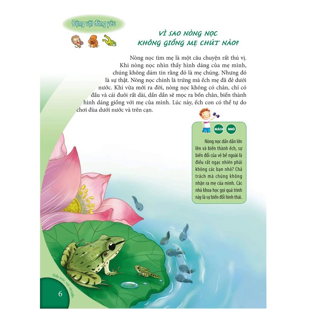 Sách - 10 Vạn Câu Hỏi Vì Sao - Gấu Trúc, Voi Và Kiến - MLB