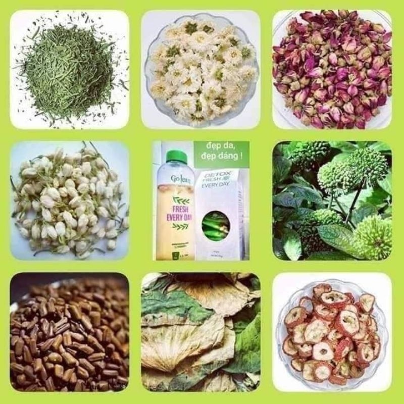 Trà Hoa Detox Fresh Every Day 14 Gói Chính Hãng