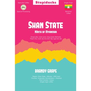 Cà Phê Phin Giấy Drip Bag ( Gói lẻ) - Stupiducks Specialty Coffee