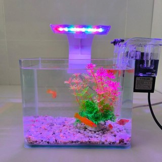 Bể cá mini Đúc uốn cong 20x14x16cm để bàn Với nhiều mẫu lựa chọn có kèm phụ kiện sỏi nền và cây nhựa