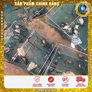 Lồng bẫy cua, ghẹ, cá biển - rập bẫy cua, ghẹ - hiệu quả 100%