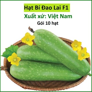 10 hạt giống bí đao lai f1 - bí đao chanh siêu quả ngon