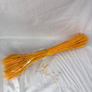 Bông Lúa Mạch Khô Decor Trang Trí Bó 100 Cành.
