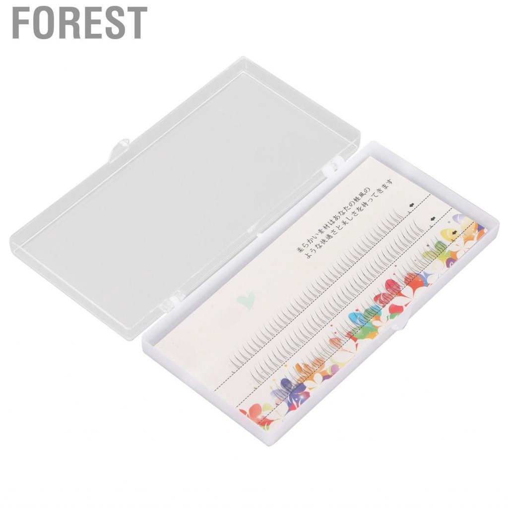 Forest V Shaped Lower Lashes Bottom