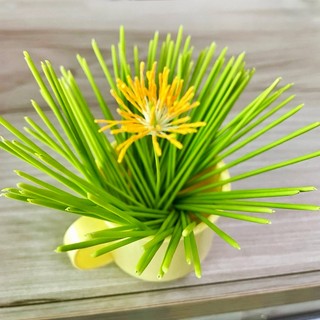 10 Nhị mai giữa, nhị cái hoa mai bằng đất sét làm hoa mai handmade