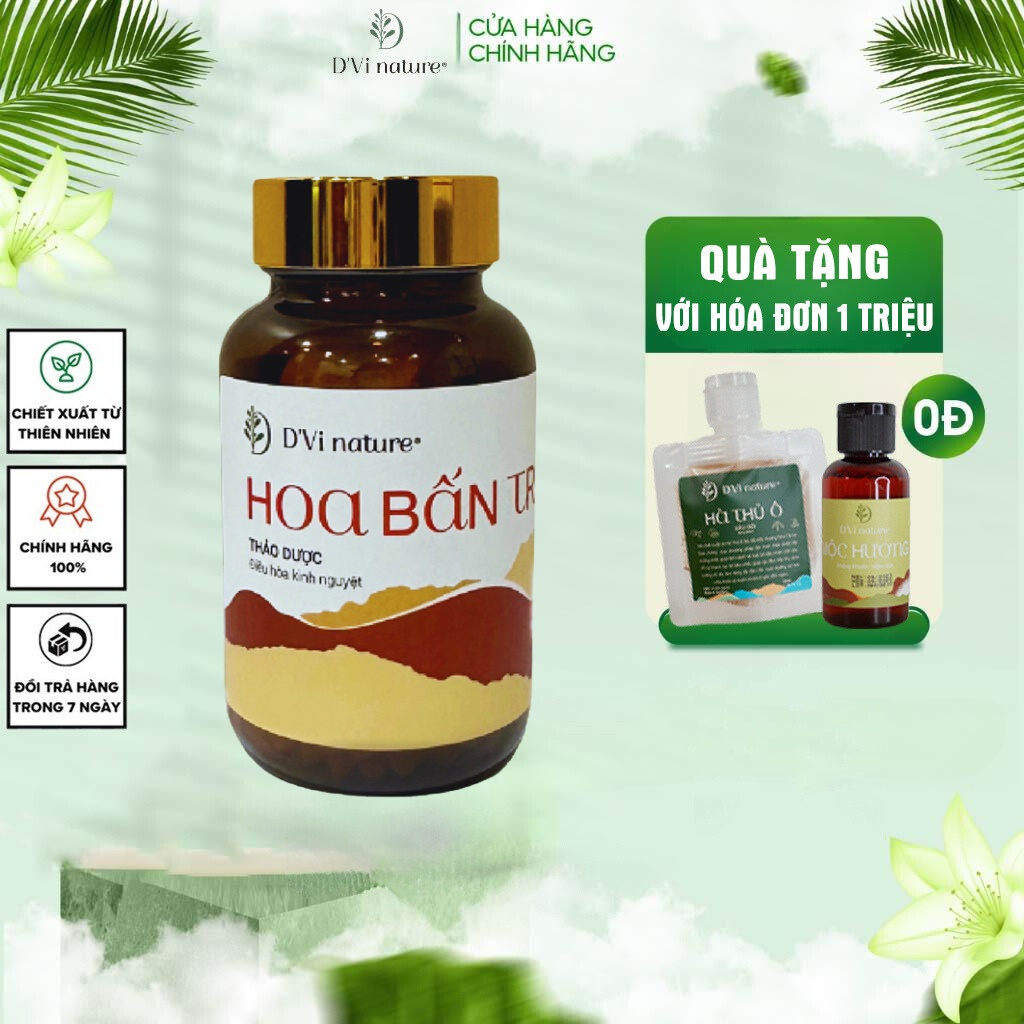 Hoa Bấn Trắng - Điều Kinh Cô Viên DVi Nature