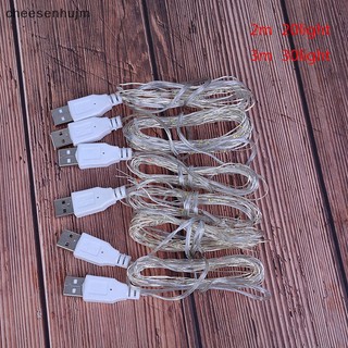 Dây Đèn led Trang Trí 2m 20led 3m 30led usb