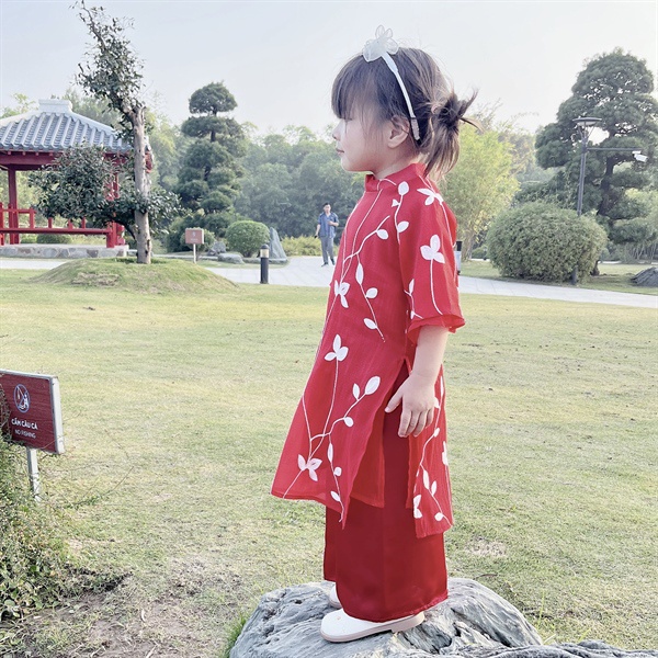 Áó Dài Tơ Thêu Hoa Sang Chảnh 9-33kg