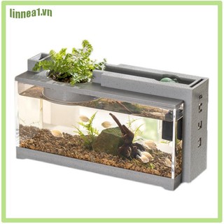 Bể cá mini có bộ lọc nước để bàn trang trí