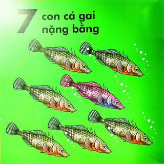 Sách Bọ Rùa Nặng Chừng Nào? (Tái Bản 2023)