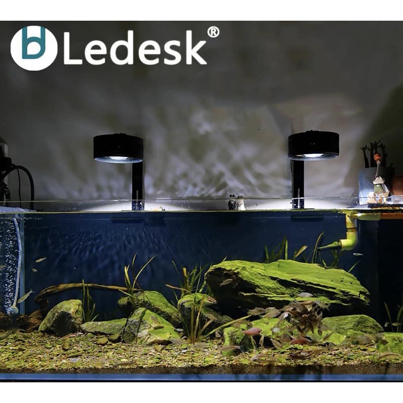 Đèn thủy sinh Ledesk - Dòng đèn hoàn hảo cho bể cá cảnh Biotope