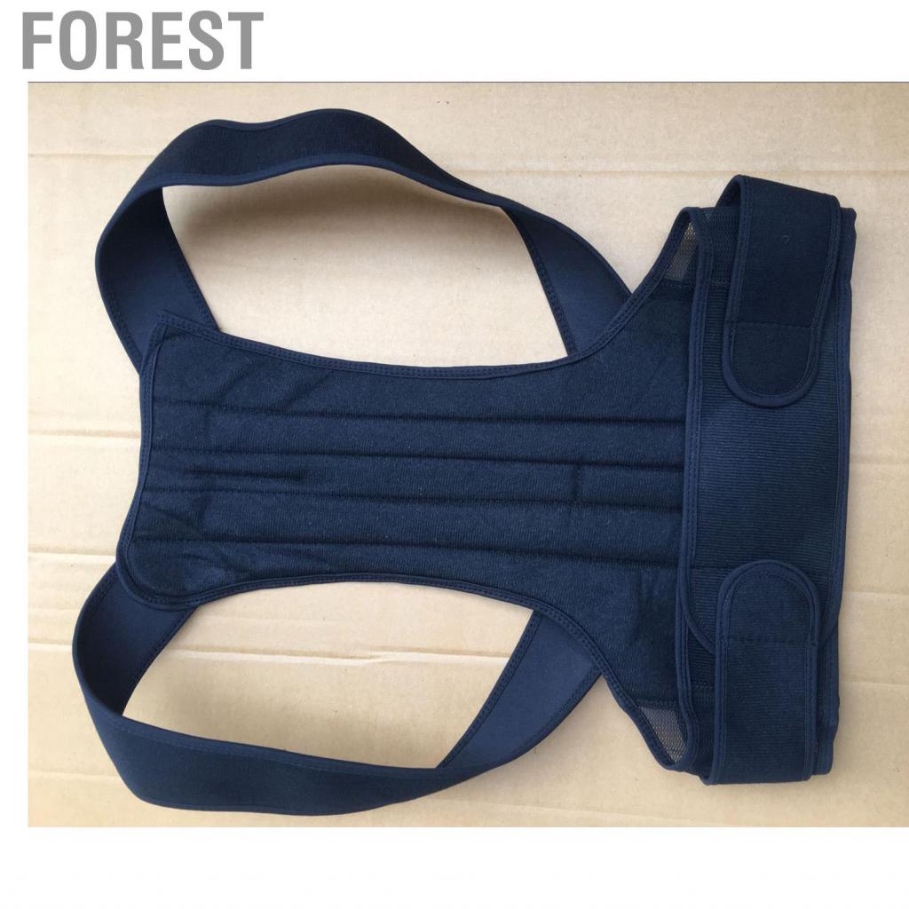Forest Posture Corrector Back Brace High Elasticity Breathable Adjustable Support Universal Orthopedic Strap