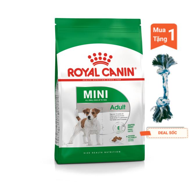 8kg Thức ăn cho chó Mini Adult Royal Canin