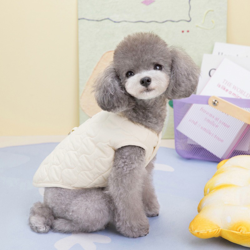 Áo Khoác cotton Dày Dặn Giữ Ấm Có Vòng Kéo Thời Trang Thu Đông Cho Thú Cưng