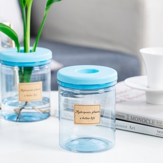 Chậu Trồng Cây mini Bằng Thủy Tinh Trong Suốt Không Cát Trang Trí Nhà Cửa