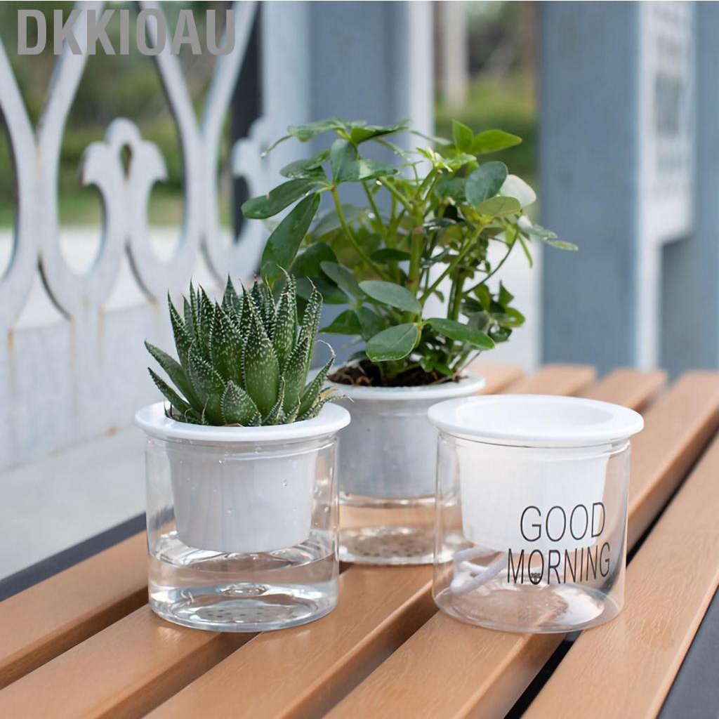Dkkioau Flower Pot Indoor Self Absorbed Watering Planter Transparent Container for Office Home