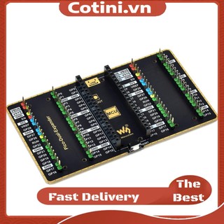 [cotini.vn] Bộ Hai Đầu Mở Rộng usb Cho raspberry pi pico