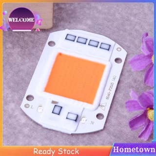 Chip đèn led cob 50w 220v thông minh