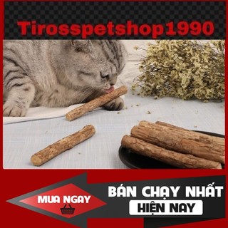 [❌GIÁ SỈ❌] Set 5 que gỗ Catnip gặm sạch răng cho mèo  ❤️