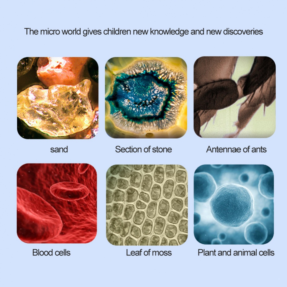 Kính Hiển Vi Đa Năng Cho Hoạt Động Ngoài Trời