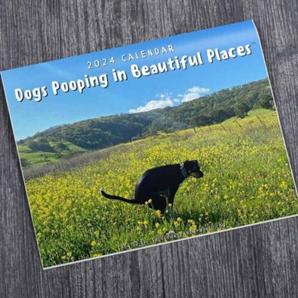 2024 Calendar-Funny Dogs Pooping in Beautiful Places Wall Calendar