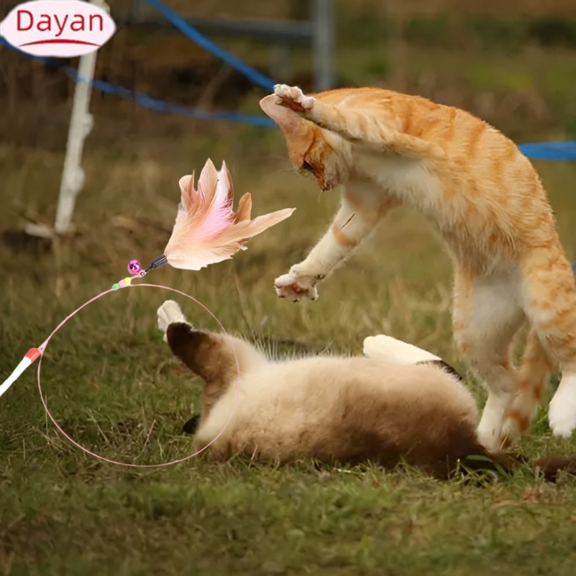 Cần Câu Lông Vũ Nhiều Màu Vui Nhộn Dành Cho Mèo Cưng