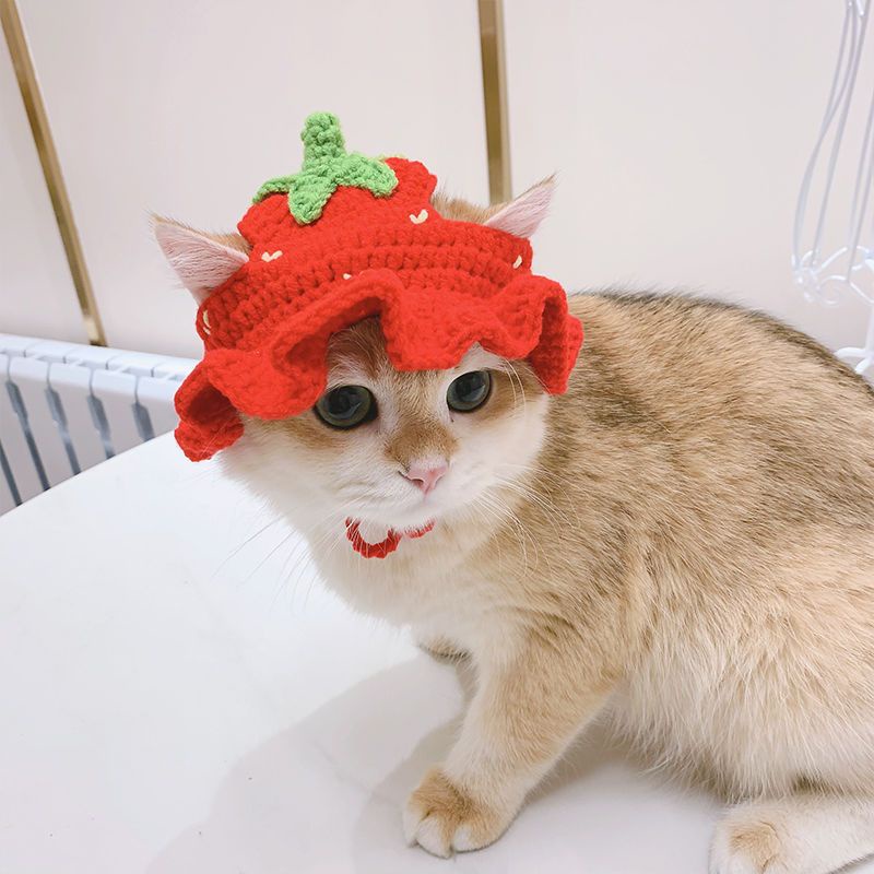 Mũ Hình Noel Mèo Dễ Thương Cho Chó Bé Sơ Sinh Noel