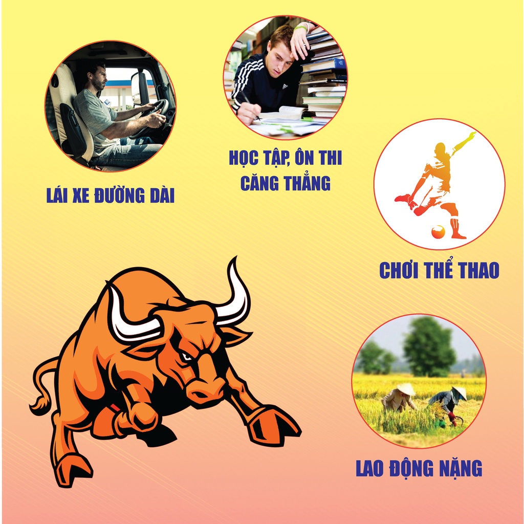 Viên sủi tăng lực HADIPHAR Vị bò húc