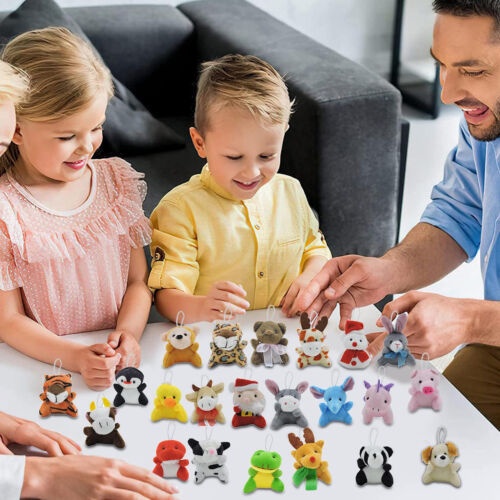 Snow and Ice Jewelry Christmas Advent Calendar Blind Box