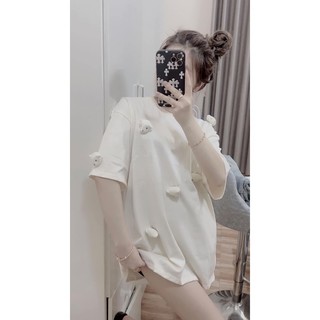 Áo Phông Cài Gấu siêu xinh