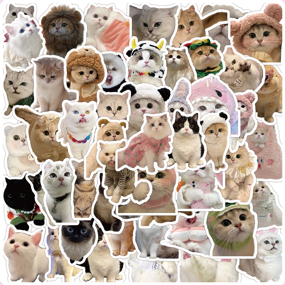 Bộ 60 Miếng Dán Hình Mèo Dễ Thương Chống Thấm Nước Trang Trí Sổ Tay / Mũ Bảo Hiểm / laptop / Mũ Bảo Hiểm diy
