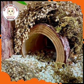 Hang trú vỏ cây, hầm trú ẩn .Xứ sở thú cưng- Hamster Vĩnh Phúc