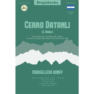 Cà Phê Phin Giấy Drip Bag ( Gói lẻ) - Stupiducks Specialty Coffee
