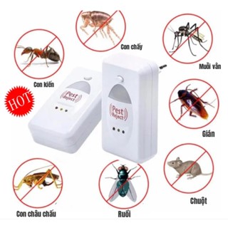 Thiết Bị Xua Đuổi Côn Trùng Pest Reject - Máy Đuổi Chuột Bằng Sóng Âm-ferramen888
