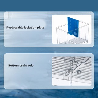 Hộp Ấp Trứng Cá Mini Tiện Lợi