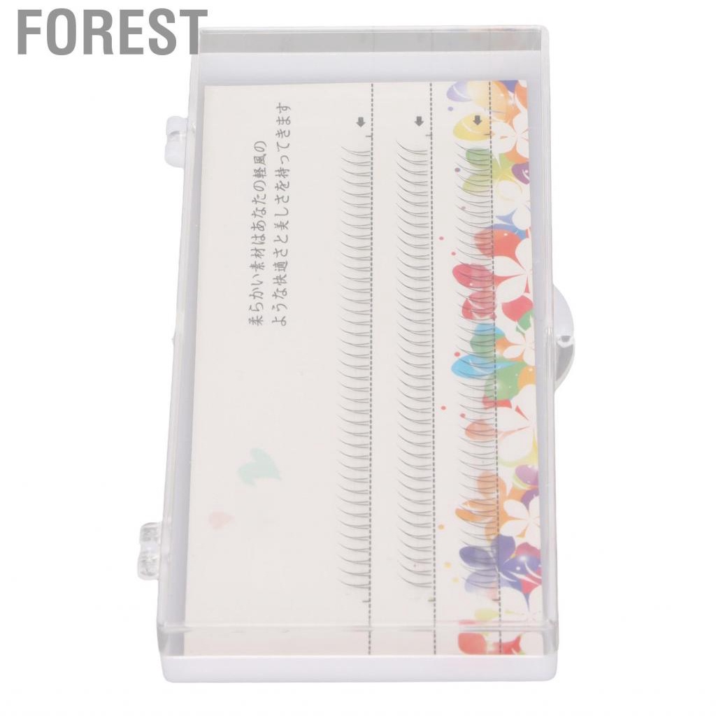 Forest V Shaped Lower Lashes Bottom