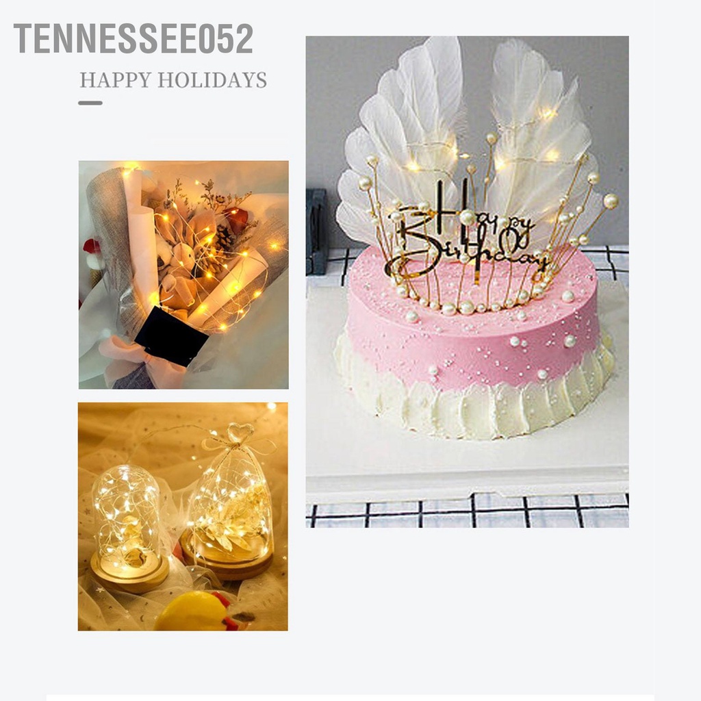 Tennessee052 Đèn Dây Cổ Tích 3 Chế Độ Chiếu Sáng Đồng Linh Hoạt Chạy Bằng Pin LED Cho Hộp Hoa Bánh