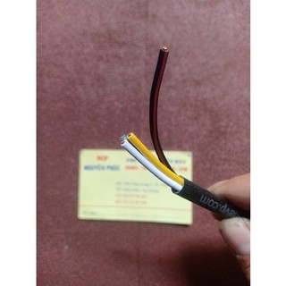 Đuôi mâm lửa Anpha cái AVP G4 (1 Cái) A.1107