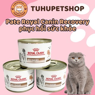 Pate Royal Canin Recovery phục hồi sức khỏe cho chó mèo sau ốm, mang thai