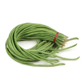 Hạt giống đậu đũa trái dài, dễ trồng dễ chăm nhanh thu hoạch - gói 10g