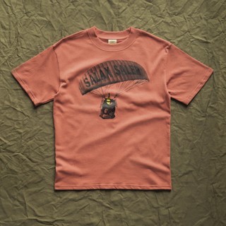 Áo thun cotton Free Fly màu Đỏ Gạch T Shirt | Salax Saler