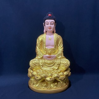 Tôn Tượng Dược Sư Phật , A Di Đà Phật Cao 45cm Vàng Vẽ tamlinhvanhoaphamphatgiao