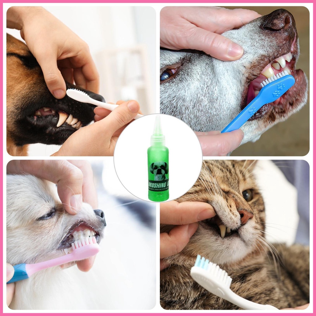 Tuýp Kem Đánh Răng 59ml Tự Nhiên Làm Mát Không Mùi Cho Chó