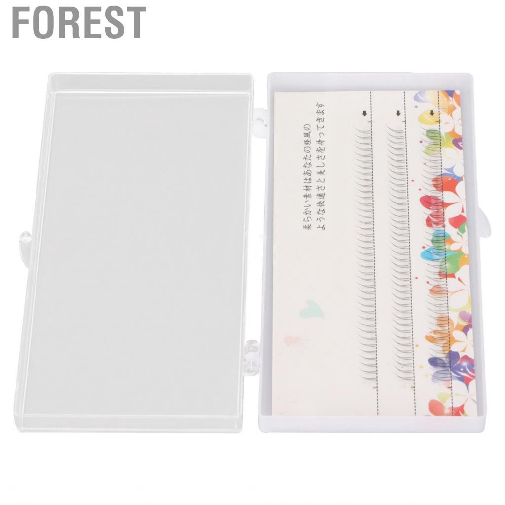 Forest V Shaped Lower Lashes Bottom