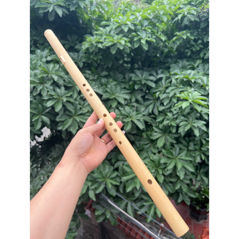 sáo mèo việt 9 lỗ
