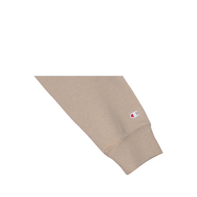 Áo Hoodie Champion Embroidered Script Logo Men's - Grey