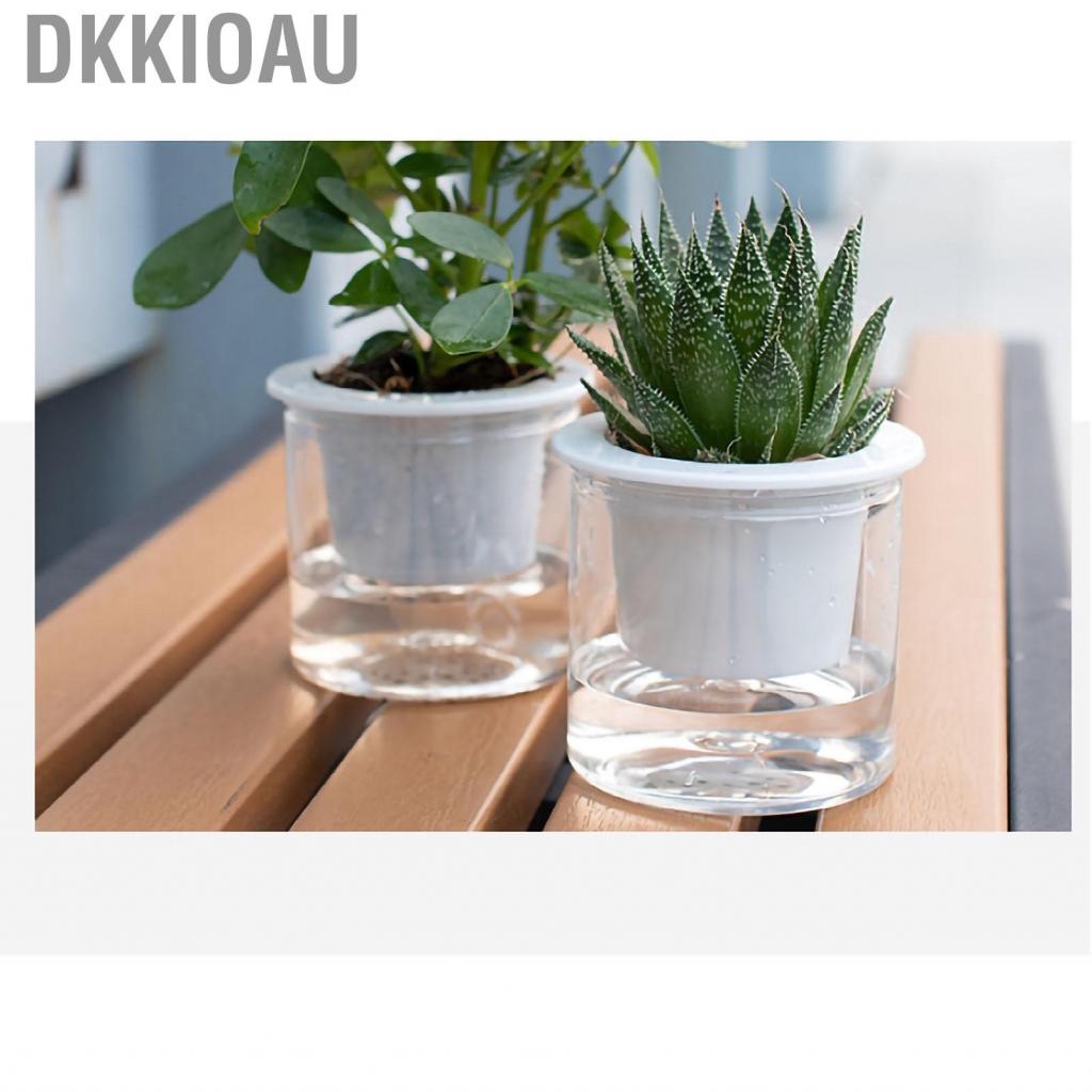 Dkkioau Flower Pot Indoor Self Absorbed Watering Planter Transparent Container for Office Home