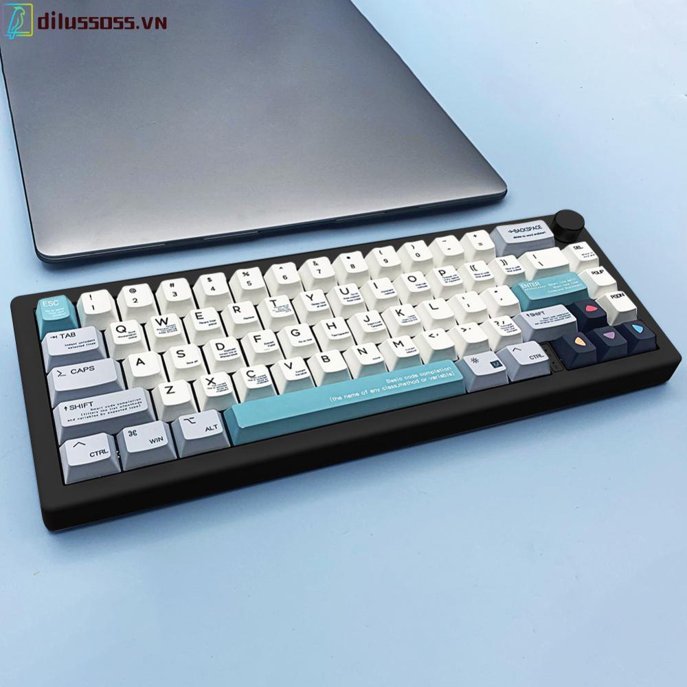 Bút Cảm Ứng dilussoss.vn 5.0 + 8.0 Hai Đầu silicone Dùng Cho Máy Tính Bảng