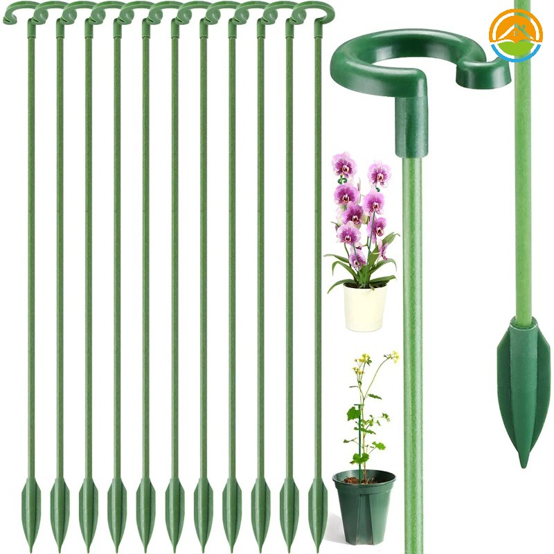 Bộ 10 Giá Đỡ Cây Trồng / Hoa Lan / Cây Hoa Lan Có Thanh Cố Định