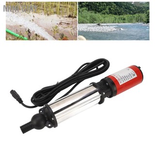 Mini giay máy bơm nước năng lượng mặt trời chìm nâng xả 15m 4m³ / h dc 12v 300w để tưới tiêu